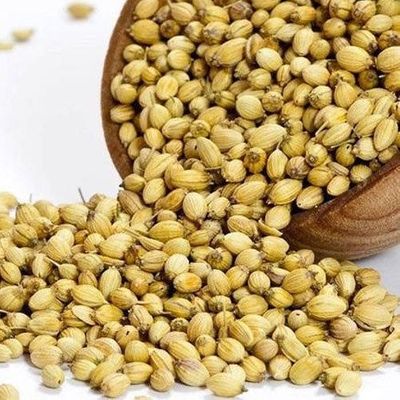 CORIANDER-SEEDS.jpeg