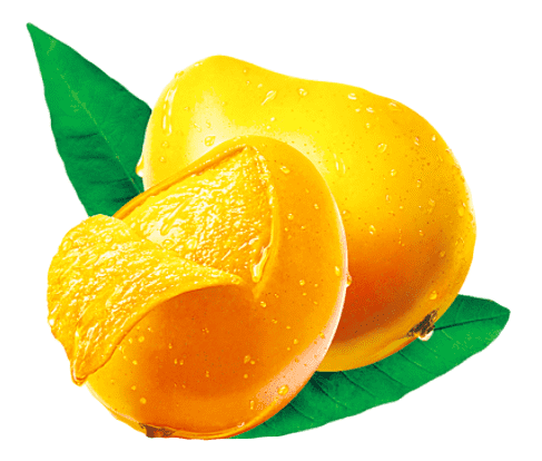 https://arshippingandtrading.com/wp-content/uploads/2015/09/Mangoes-Saremco.png
