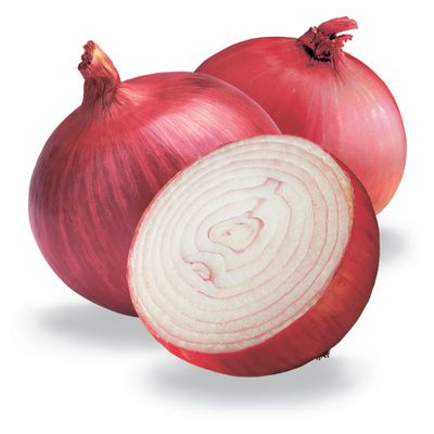 ONIONS.jpeg