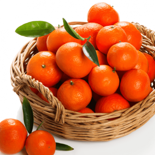 Orange-SHIPMENT-540x540.png