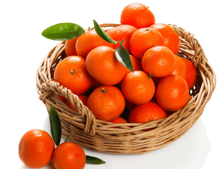 https://arshippingandtrading.com/wp-content/uploads/2015/09/Orange-SHIPMENT.png
