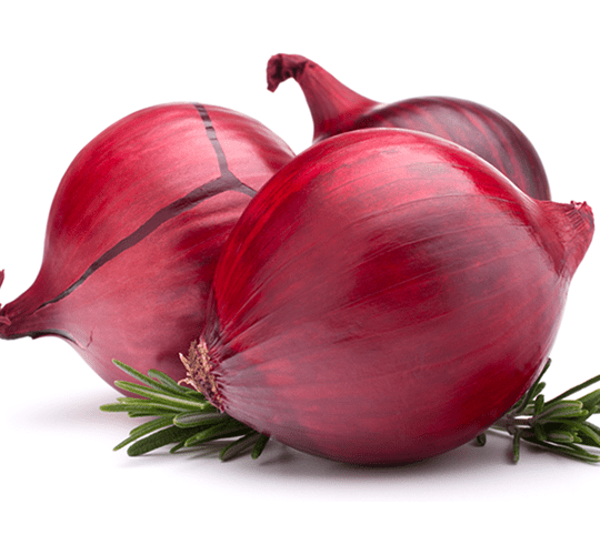 RED-ONION-AND-ITS-EXPORT-IN-PAKISTAN-opt-540x500.png