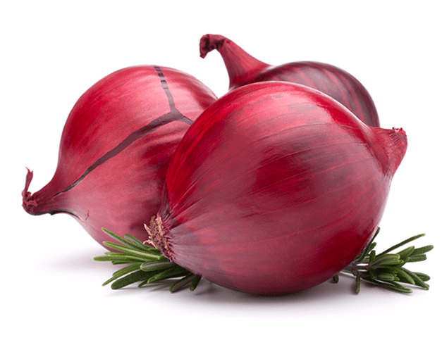 https://arshippingandtrading.com/wp-content/uploads/2015/09/RED-ONION-AND-ITS-EXPORT-IN-PAKISTAN-opt.png