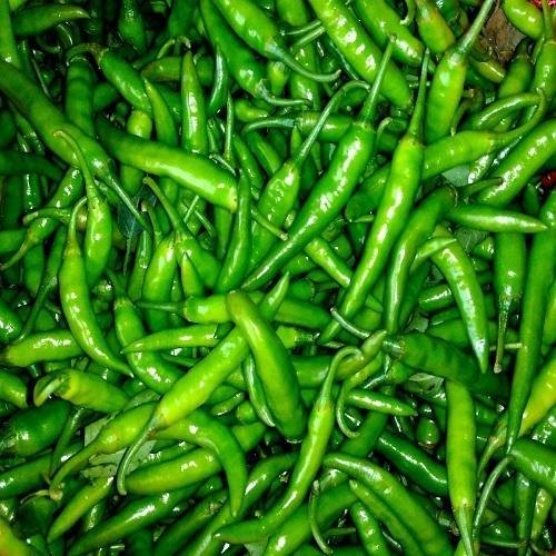 https://arshippingandtrading.com/wp-content/uploads/2015/09/fresh-green-chilli-500x500-500x500-1.jpg