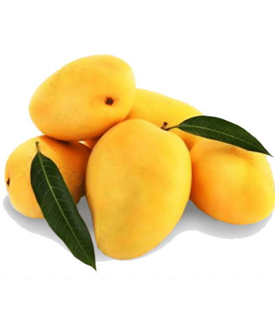 https://arshippingandtrading.com/wp-content/uploads/2015/09/mango-alphonso.png
